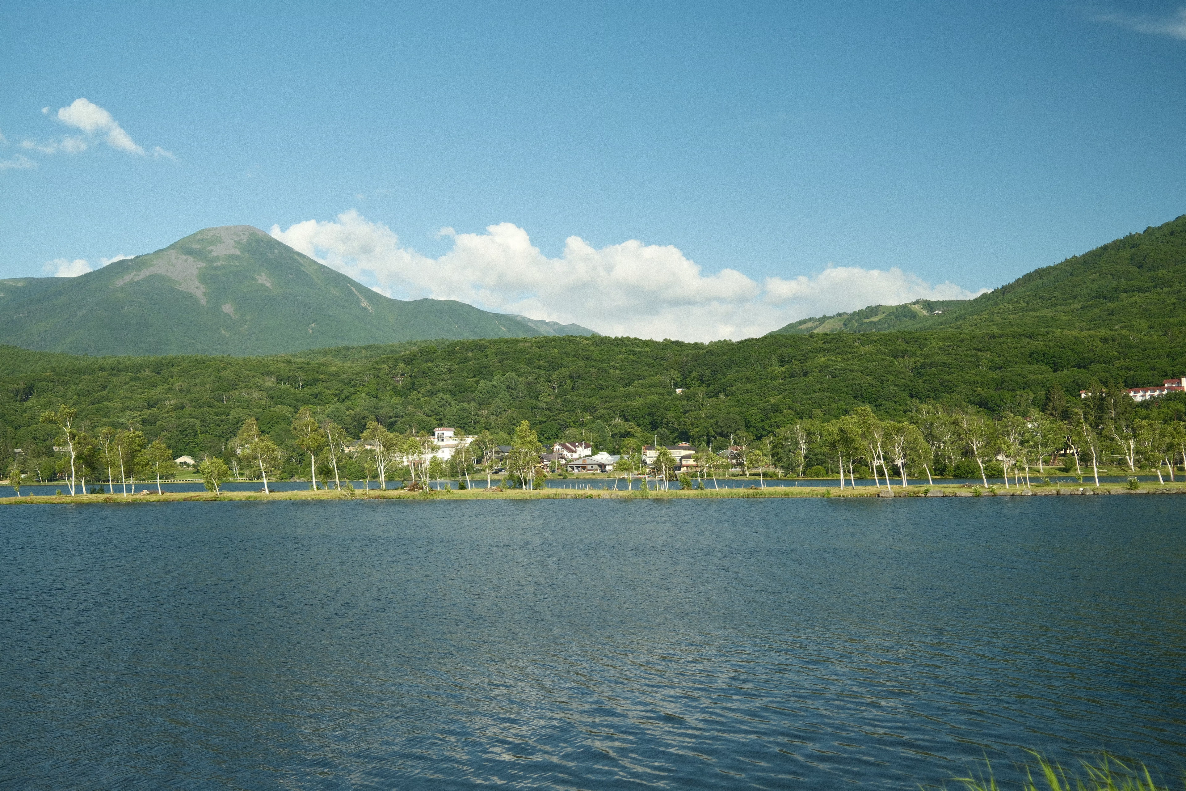 自然な風景背景